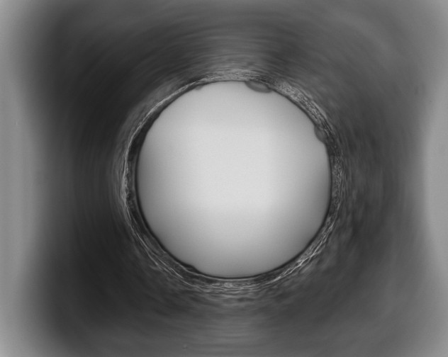 X0000100340338200806051229
