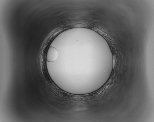 X0000100340339200806051229