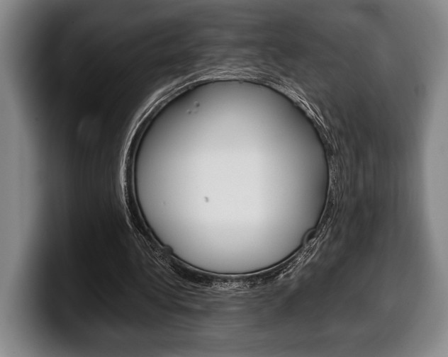 X0000100340340200806051229