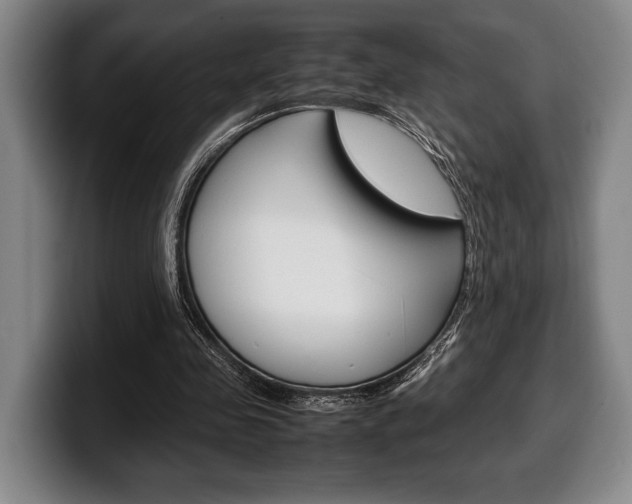 X0000100340341200806051229