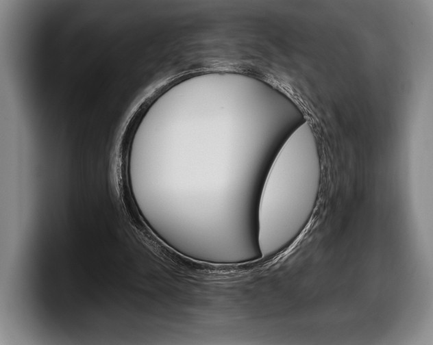 X0000100340342200806051229