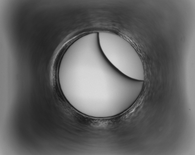 X0000100340343200806051229