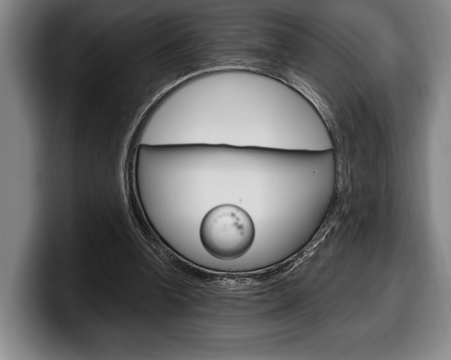 X0000100340346200806051229