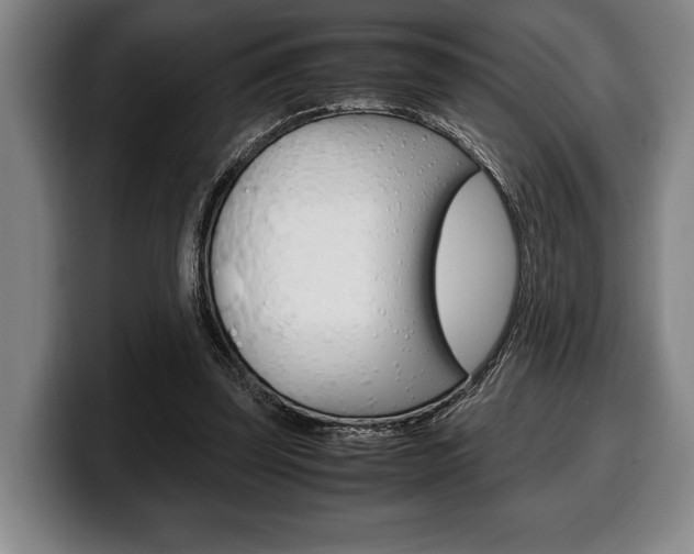 X0000100340347200806051229