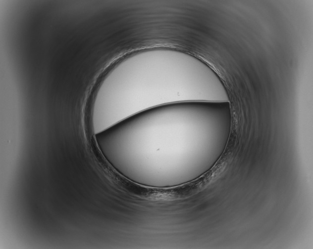 X0000100340350200806051229