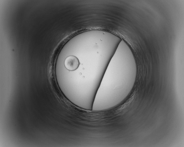 X0000100340351200806051230