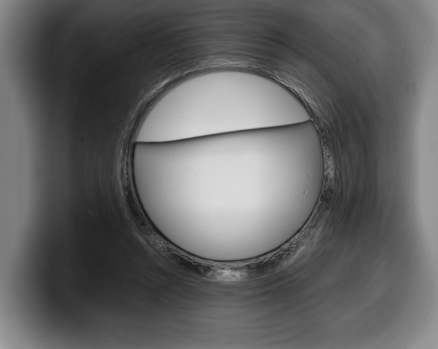 X0000100340352200806051230