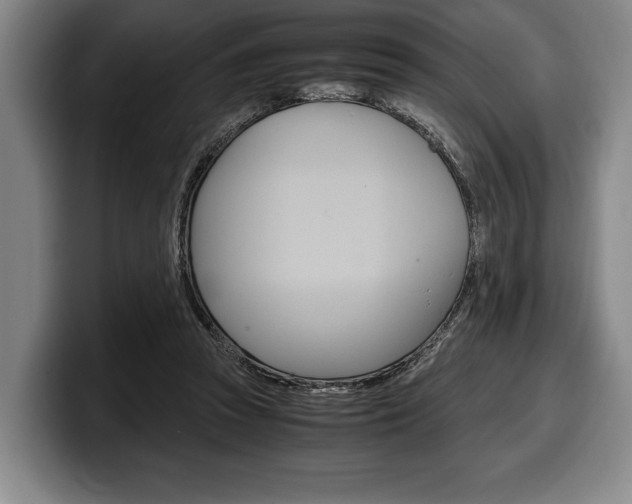X0000100340353200806051230