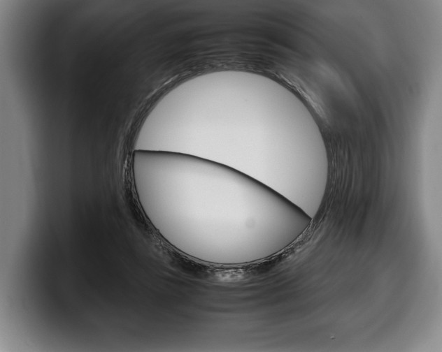 X0000100340355200806051230