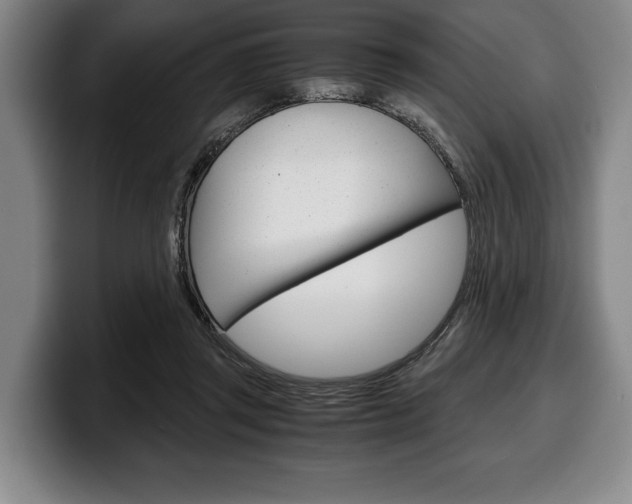 X0000100340357200806051230