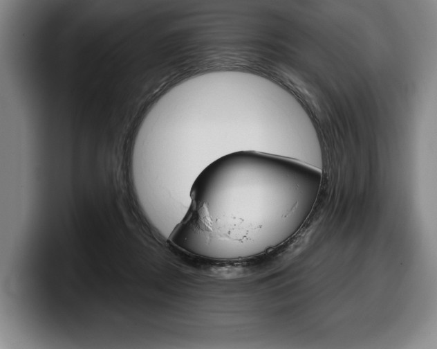 X0000100340362200806051230
