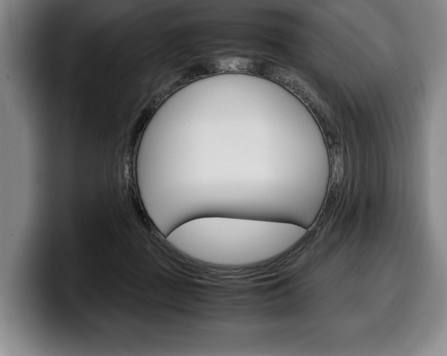 X0000100340363200806051230