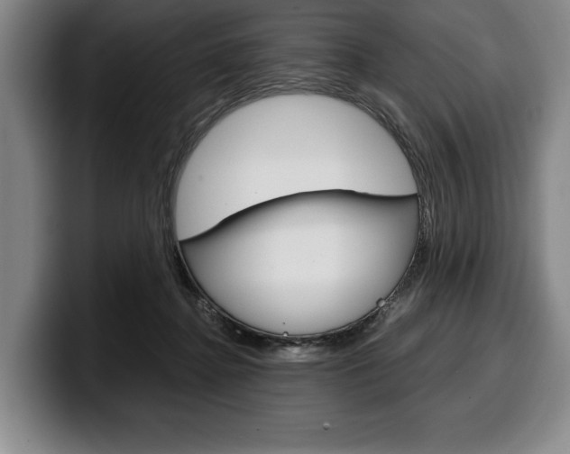 X0000100340364200806051230