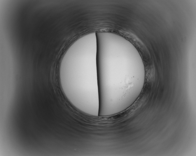 X0000100340365200806051230