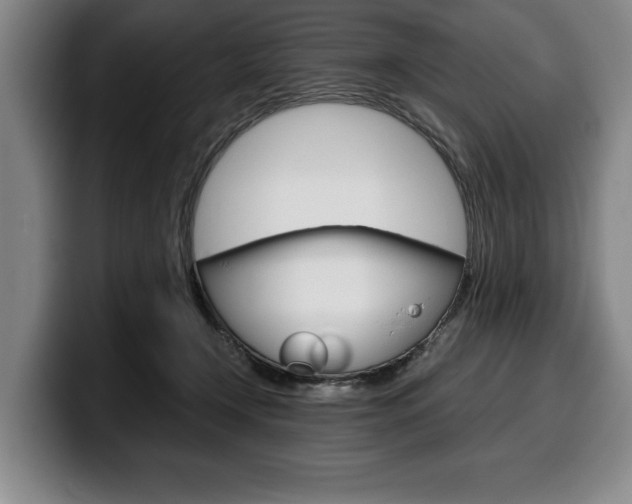 X0000100340366200806051230