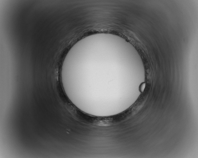 X0000100340368200806051230