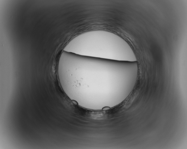 X0000100340373200806051230