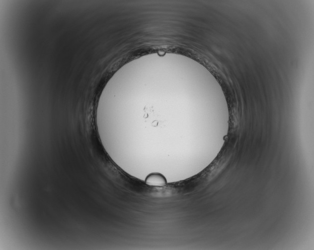 X0000100340376200806051230
