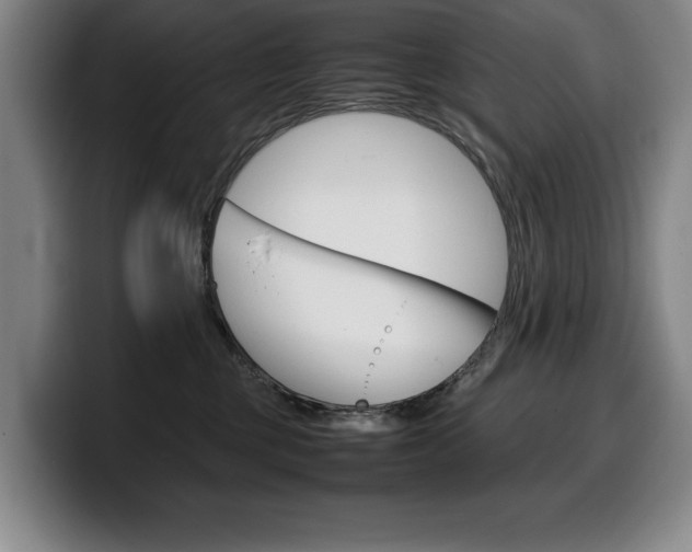 X0000100340377200806051230