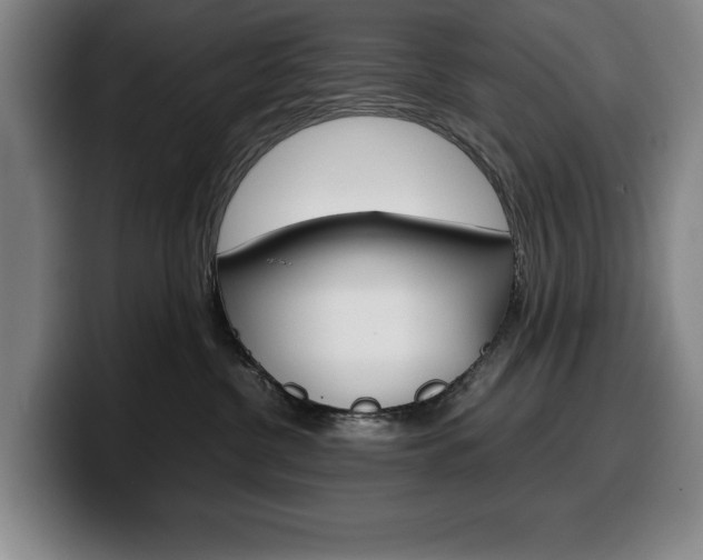 X0000100340380200806051230