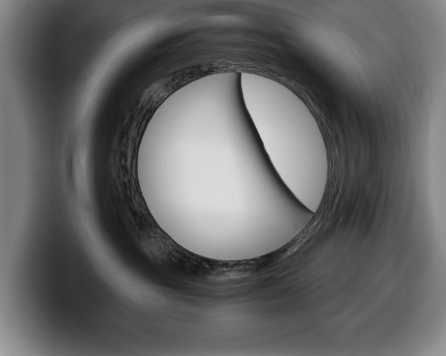 X0000100340381200806051230