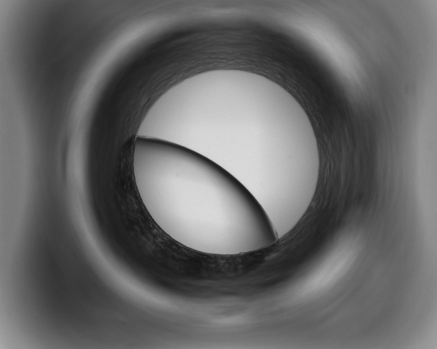 X0000100340383200806051230