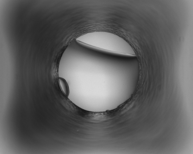 X0000100340384200806051230