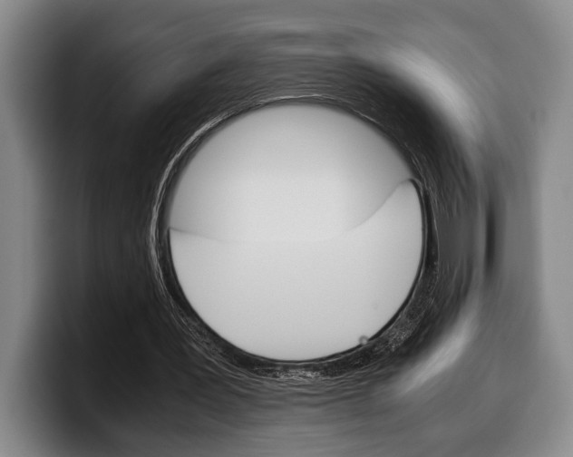 X0000100340387200806051229