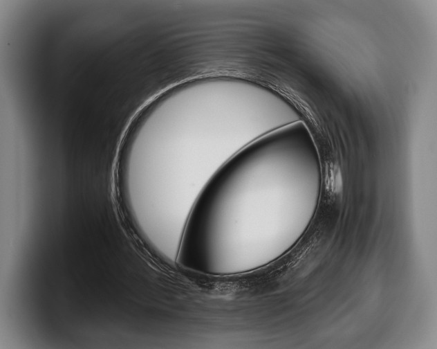 X0000100340388200806051229
