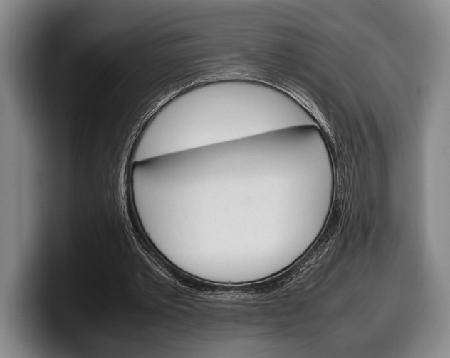X0000100340389200806051229