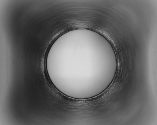 X0000100340390200806051229