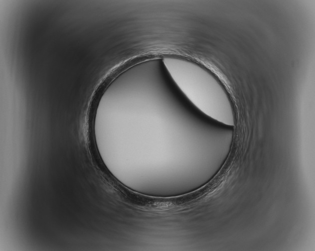 X0000100340391200806051229