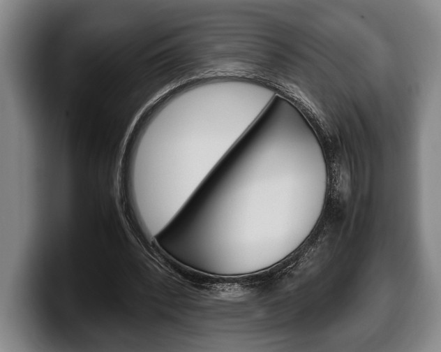 X0000100340392200806051229