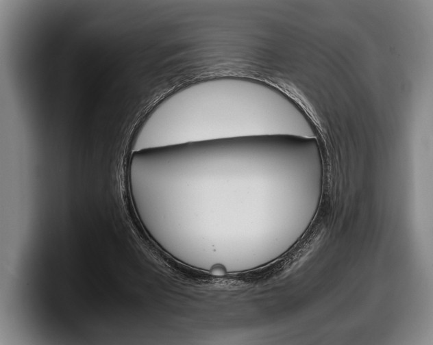 X0000100340393200806051229