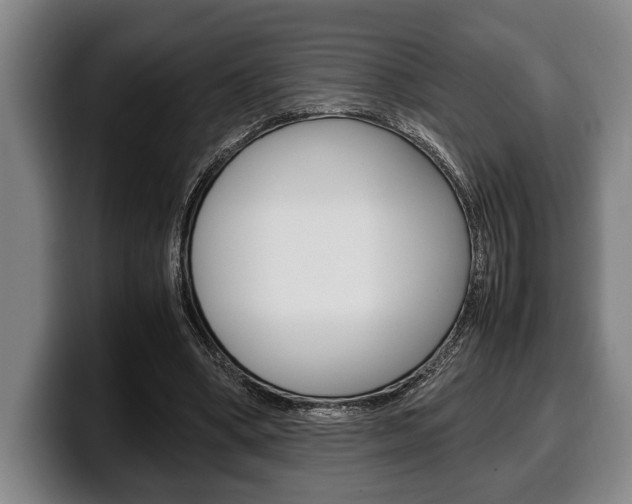 X0000100340394200806051229