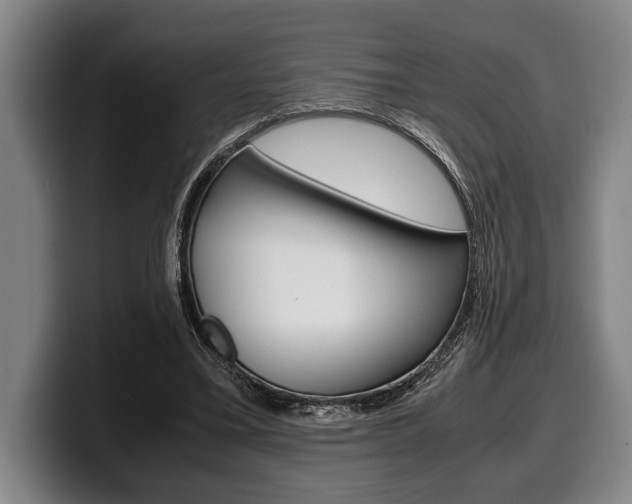 X0000100340395200806051229