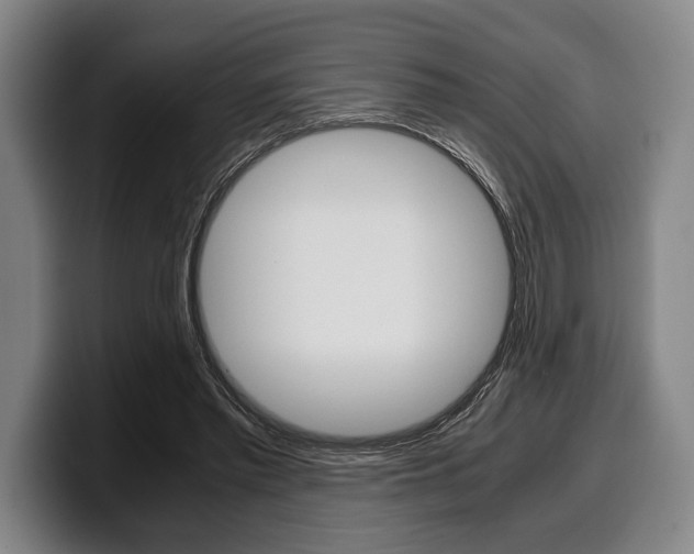 X0000100340397200806051229