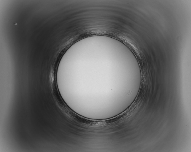 X0000100340398200806051229