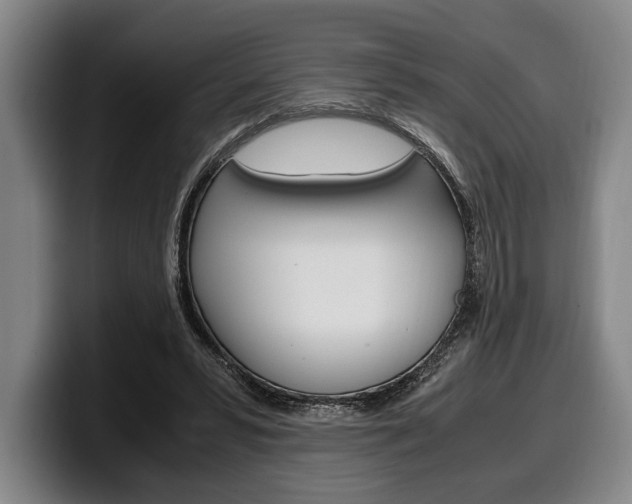 X0000100340399200806051229