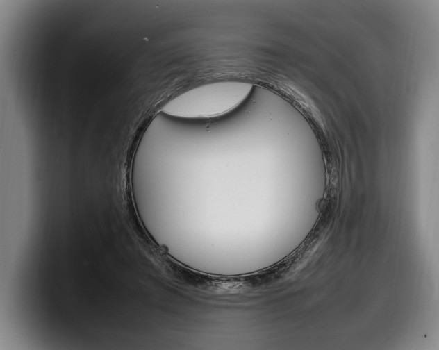 X0000100340401200806051229