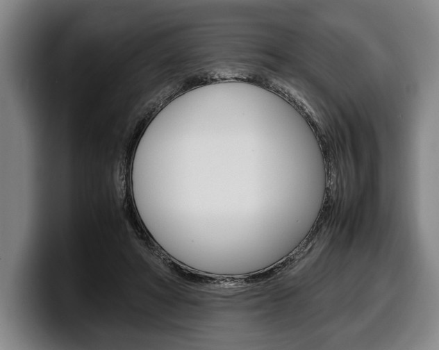 X0000100340402200806051229