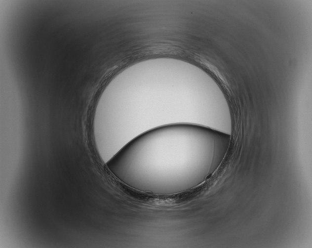 X0000100340403200806051229
