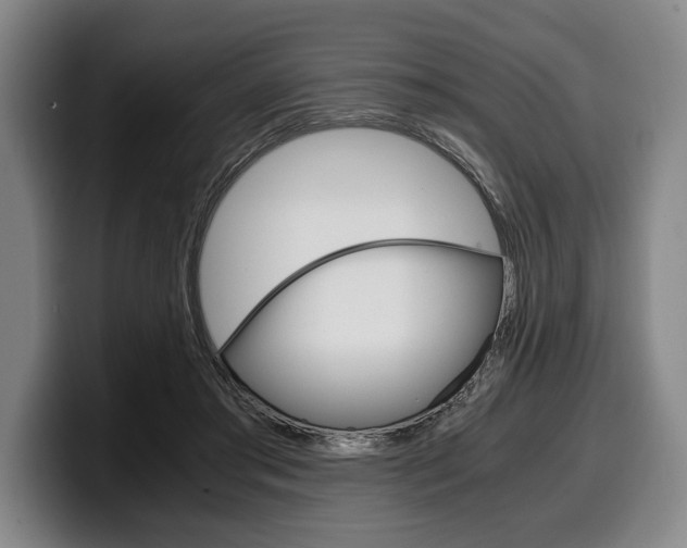 X0000100340405200806051229