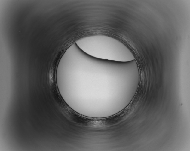 X0000100340406200806051229