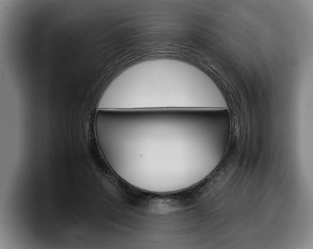 X0000100340408200806051229
