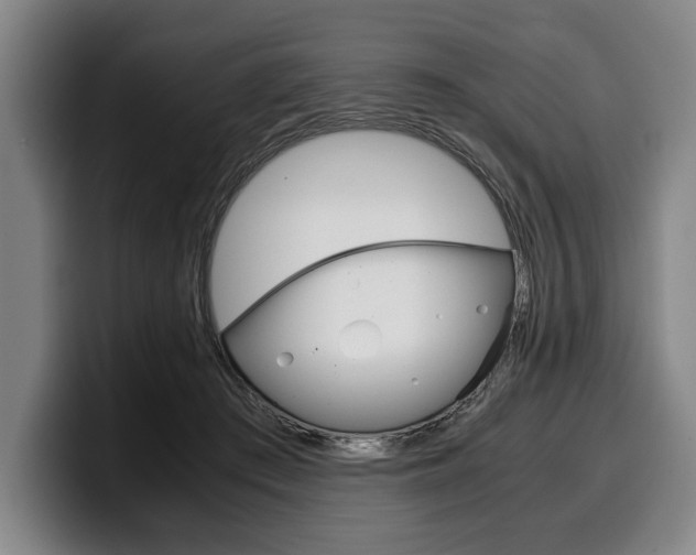 X0000100340409200806051229