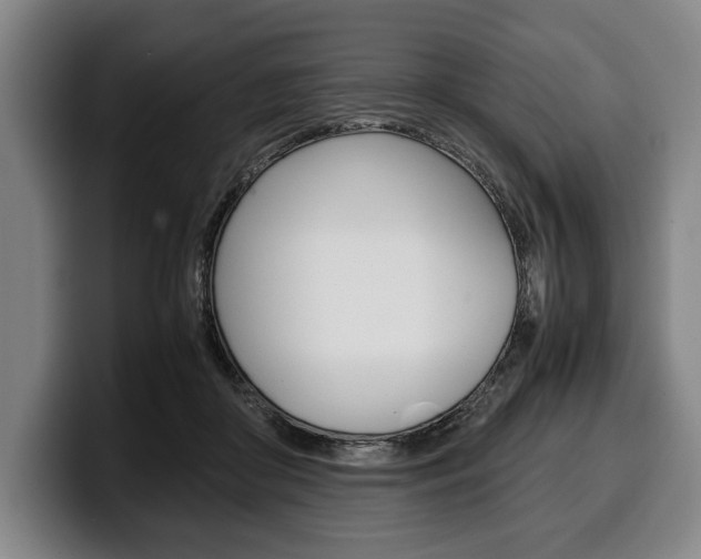 X0000100340410200806051229