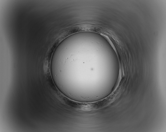 X0000100340411200806051229