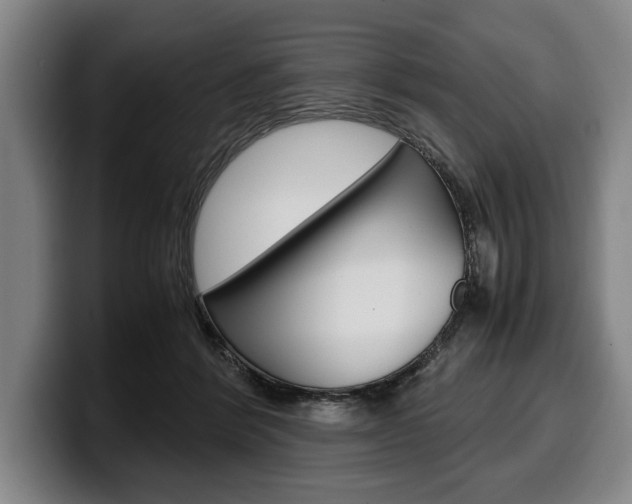 X0000100340412200806051229