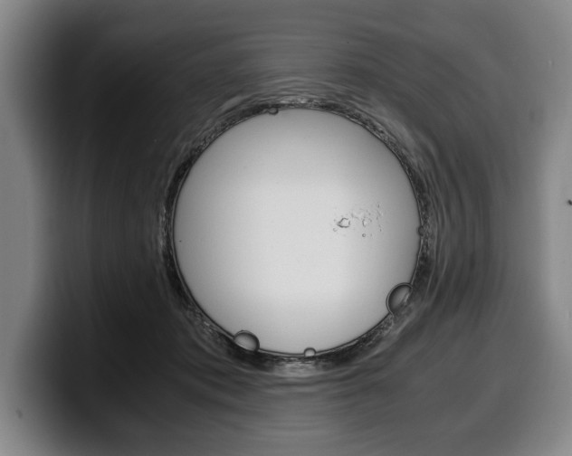 X0000100340413200806051229